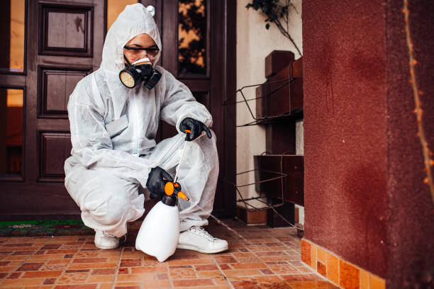 Reliable Mosquito Control contractor in Tarrant, AL by Show Me Pest Control